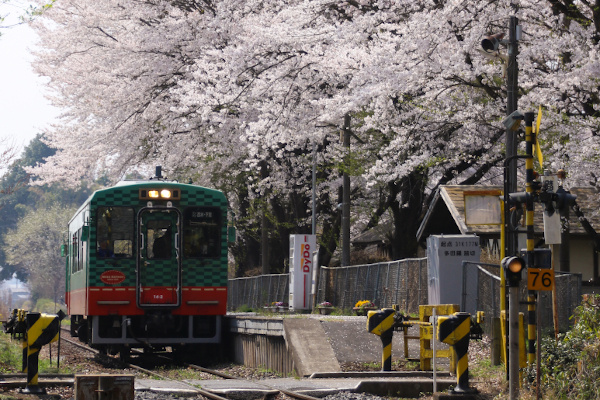 真岡鐵道（多田羅駅）